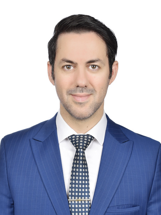 Dr. Mehdi Salman Pour &mdash; Official Portrait